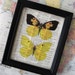 FREE Shipping Yellow Butterfly Illustration - Vintage Dictionary Art Print - 8 x 10 - FREE Shipping Worldwide