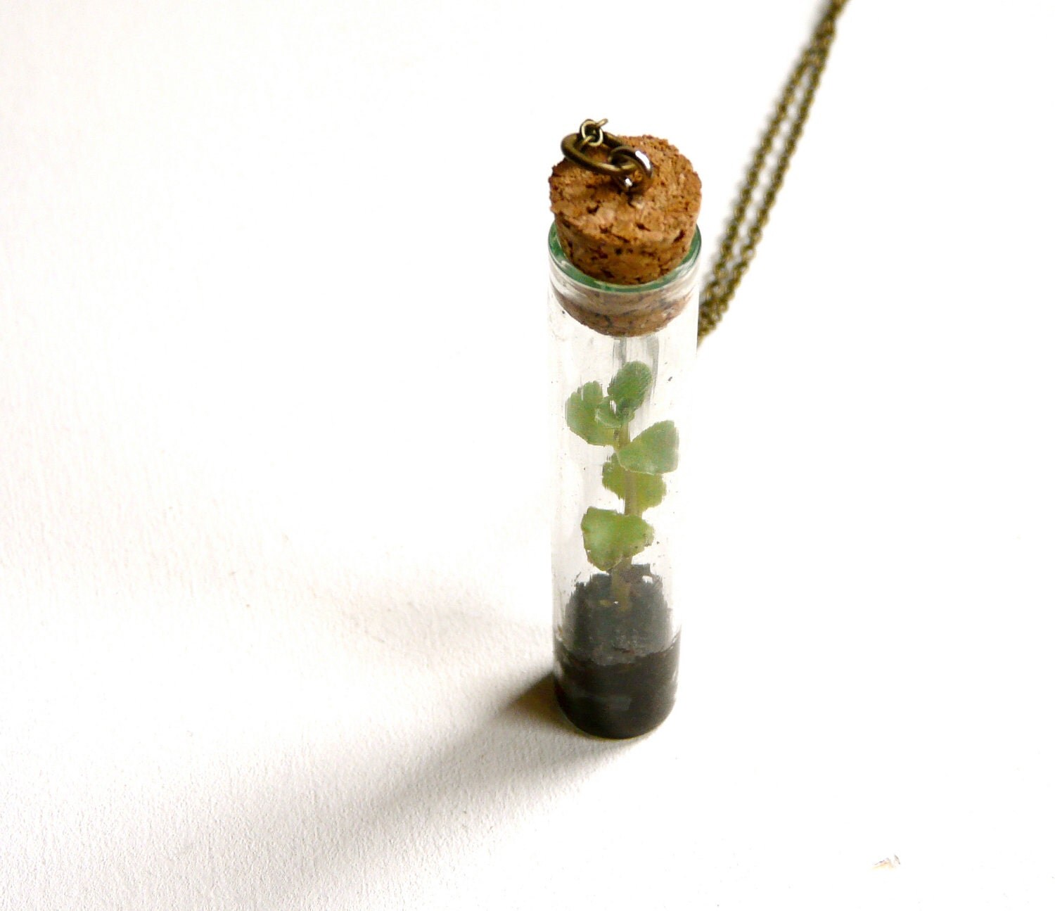 Vial necklace terrarium plant green nature by liliFunambule