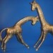 Brass Giraffes Playful Pair