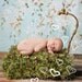 Photo Prop 'Grass' Patch Baby Blanket Photo Props. Green Patch of Grass 2x2 Rug