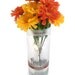 Three Olives Chocolate Drink Glass Candle Holder Vase Container