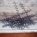 Metal Springs For Mixed Media Altered Art Doll Parts Steampunk Lot of 20