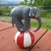 Cake Topper,Table Topper, Circus Elephant, keepsake,.circus party, add up to 3 accessories