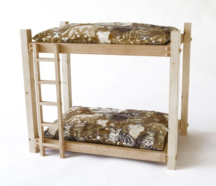 Cat Bunk Beds