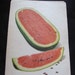 Large Illustrated School Flash Card Poster - Alphabet Letter - W - Watermelon