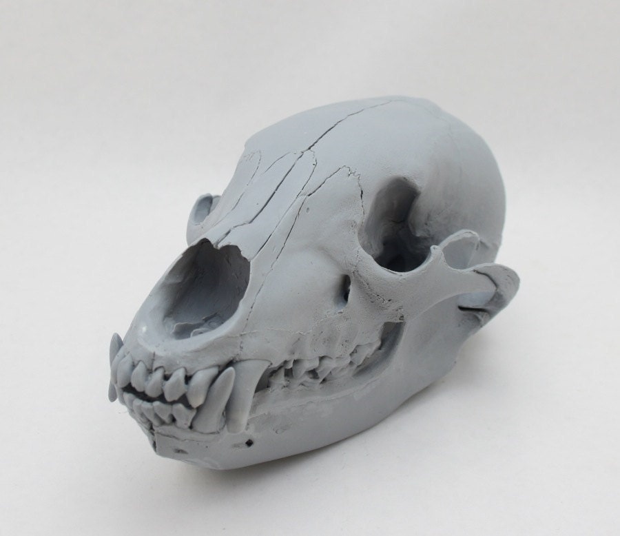 Bear Skull Replica Gray   Il Fullxfull.254314260 