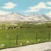 Snow Capped Rocky Mountains Western MONTANA Vintage Linen Cecil Nixon Postcard