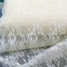 RESERVED Diana Rose Garden - IVORY Fashion Lace Yardage 44 wide Scalloped for Dress, 8 yd
