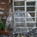 vintage clear bubble umbrella