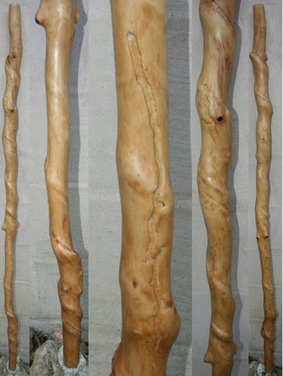 Dogwood twisted wood walking stick 1420
