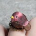Sweet Little Mushroom Bird Ring
