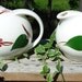 Canonsburg Stanhome Ivy Sugar and Creamer