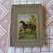 1912 BLACK BEAUTY Book New York Antique Anna Sewall Illustrated