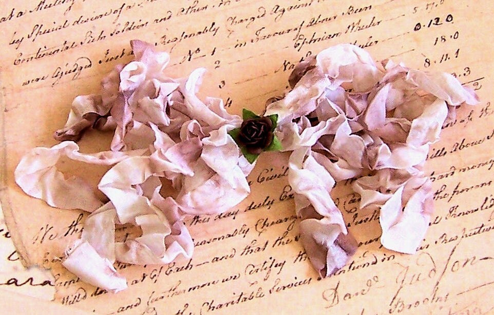 SMORES Crinkled Cottage Ribbon