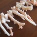 Vintage Salmon Pink Branch Coral Angel Skin Exotic Necklace