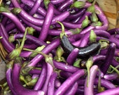 Kitchen Decor_Purple Zucchini  Farmers Market_Kitchen Art_ Food Photography - jmandelphoto