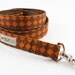 Pumpkin Checks Dog Leash