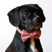 Red Honeycomb Bow Tie Dog Collar