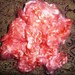 Coral Mohair washed locks-2ounces