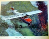 1940s Cessna 140 2 Place Aircraft Forest Fire Plane WoW