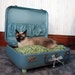 SnuggyLuggage Suitcase Pet Bed Vintage Upcycled Cat Dog Teal Green