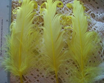 3 Loose Nagorie Feathers - Bright Yellow