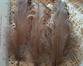 3 Loose Nagorie Feathers - Light Brown