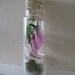 Everlasting terrarium with Rumi quote