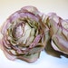 Set of Two Silk Ranunculus in Sage Green with Purple - 3 Inches