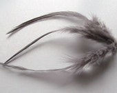 Loose Hackle Feathers - Charcoal Grey