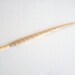 Pheasant Feather with a deluxe ballpoint - Blonde