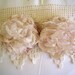 ruffled, frilly shoe clips