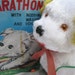 Marathon Puppy in Original Box - Vintage Battery Operated Remote Control Toy Dog - St Bernard Funny Funky Silly Japanese Mid Century Novelty