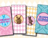 DIY Printable Easter Bunny Mini Candy Bar Wrappers Il_170x135