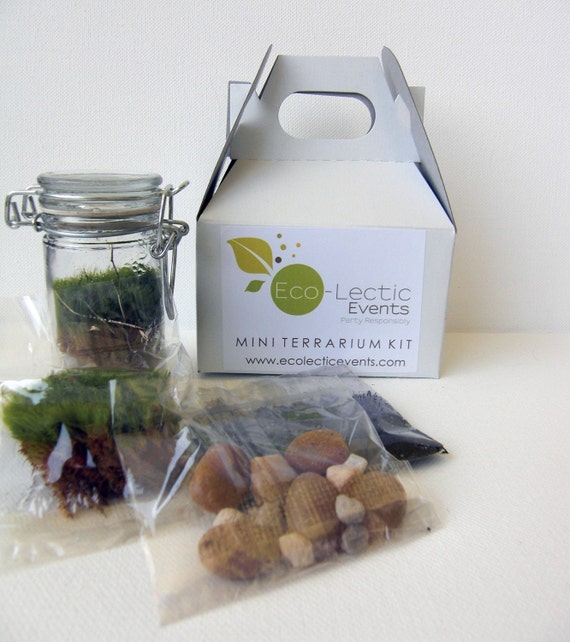 Mini Terrarium Kit Gift Set by EcoLecticEvents on Etsy