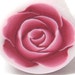 Polymer clay Rose Cane - Burgundy Rose - by sigalsart