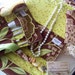 Grammies Bundle... Includes Jewelry Clutch, Make-Up Brush Roll, and Tea Wallet or Business Card Holder..