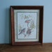 Vintage Bird Print, Paul Whitney Hunter Signed, Framed Sparrows on Tree Branches