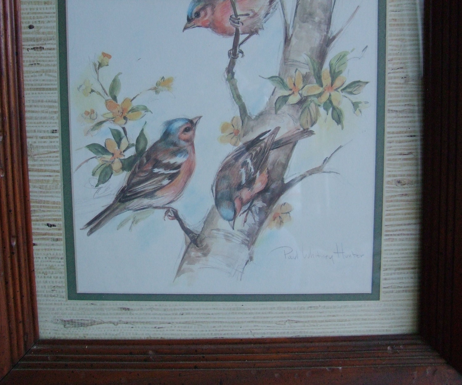 Vintage Bird Print Paul Whitney Hunter Signed Framed