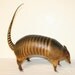 Real Armadillo / Vintage Taxidermy