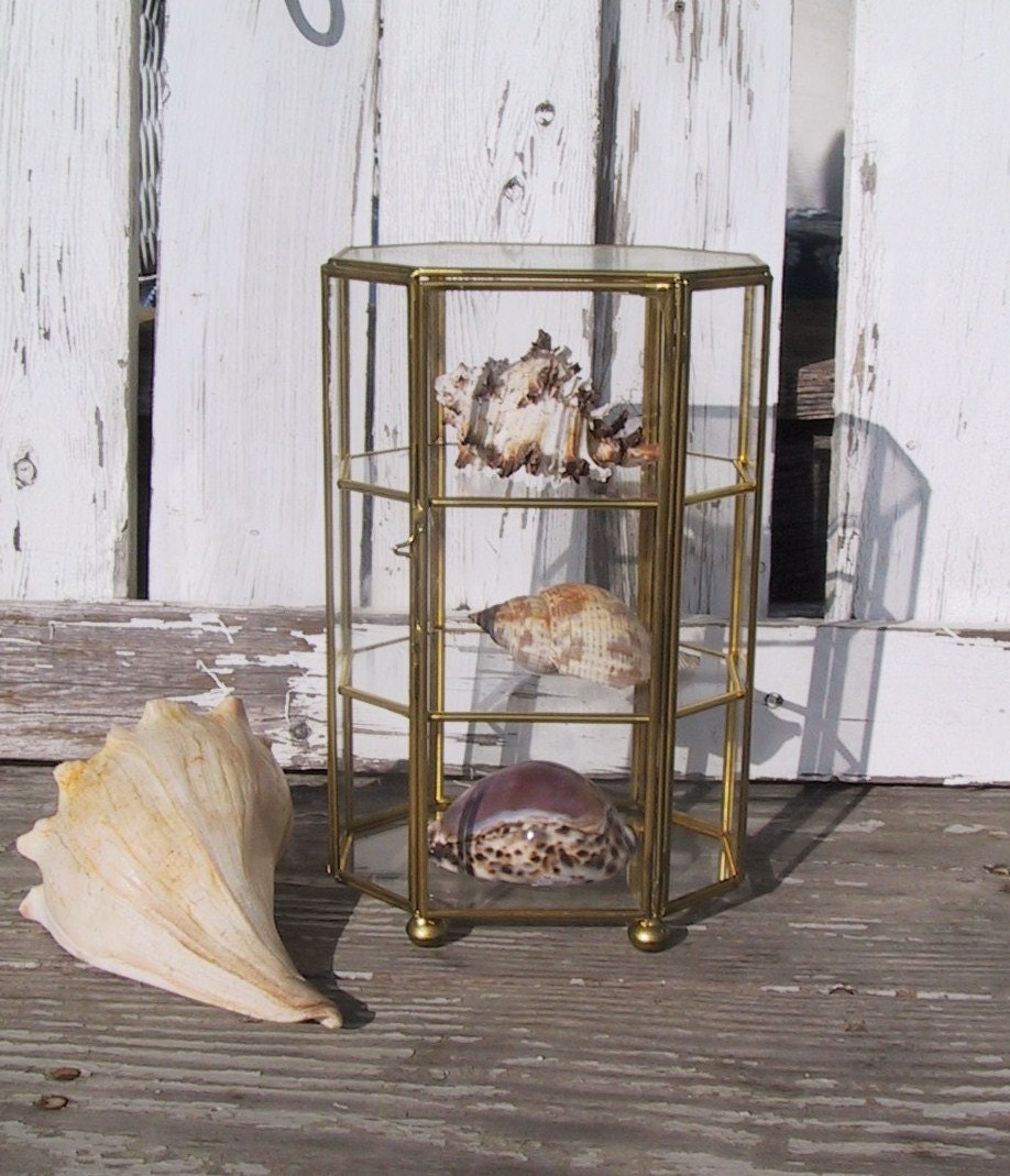 Small Brass and Glass Display Cabinet/Curio