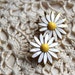DAISY. Vintage flower earrings, white and yellow daisy flower clip-ons. Fab for a mad men summer BBQ, 50s 60s, mid century, boho bohemian.