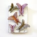 Wildflower Butterflies