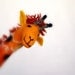 Masamba - Felt Giraffe. Art Animal Marionette, Handmade Puppet, Felted Animals, Stuffed Toy. orange brown yellow. MADE TO ORDER
