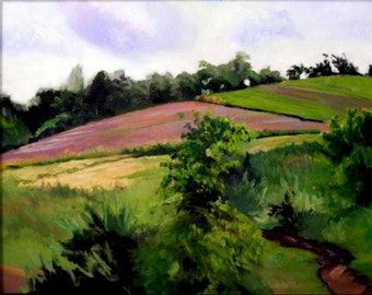 Spring landscape framed oil painting on canvas-Chenail Farm- 16x20