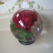 Vintage Bowl O Beauty Water Globe for Real Roses collectible