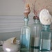 Beach Decor Vintage Aqua Glass Medicine Bottle with Filamentosa (Fox) Seashell