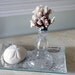Beach Decor Coral and Glass Beach Decor