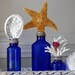 Beach Decor Set of 3 Vintage Cobalt Blue Bottles with Starfish, Abalone and Coral