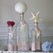 Beach Decor Set of 3 Vintage Bottles with Red Coral, Knobby Starfish and Tiger Clam